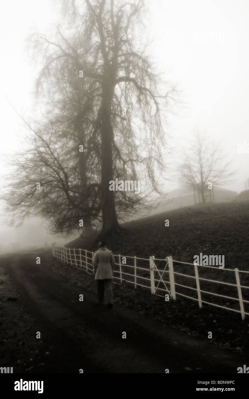 woman on country lane walking beside a white fence Stock Photo - Alamy
