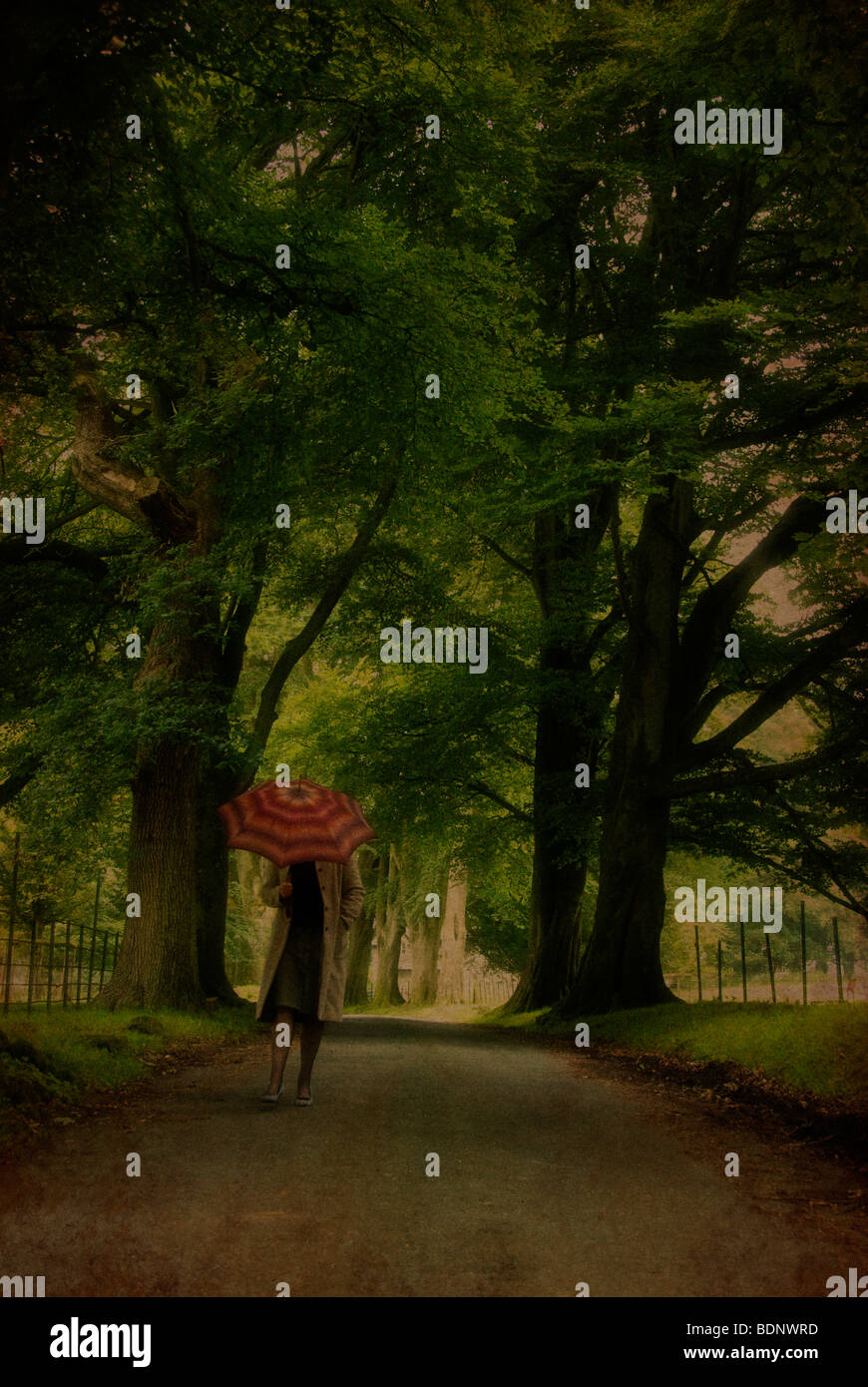 woman walking in the rain Stock Photo - Alamy