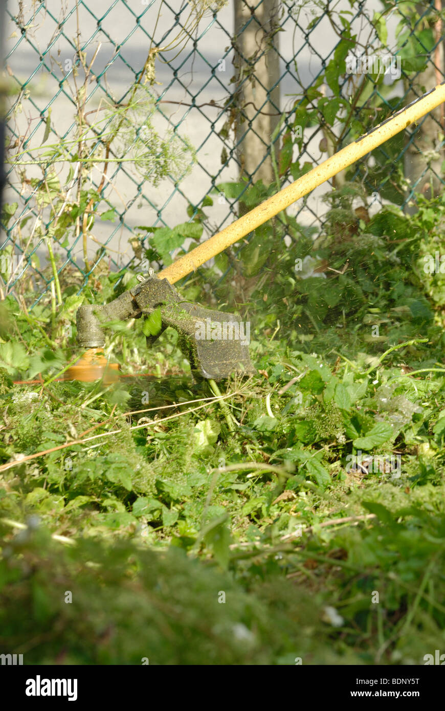 Close-up of a gas powered trimmer at work cutting through weeds. Stock Photo