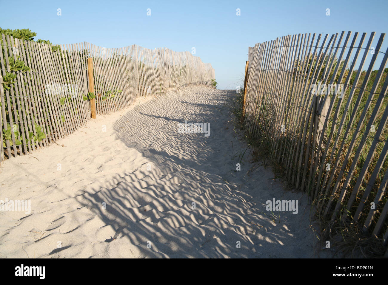 USA, Florida, Miami, South Beach, fence and walkway through sand dunes. Stock Photo