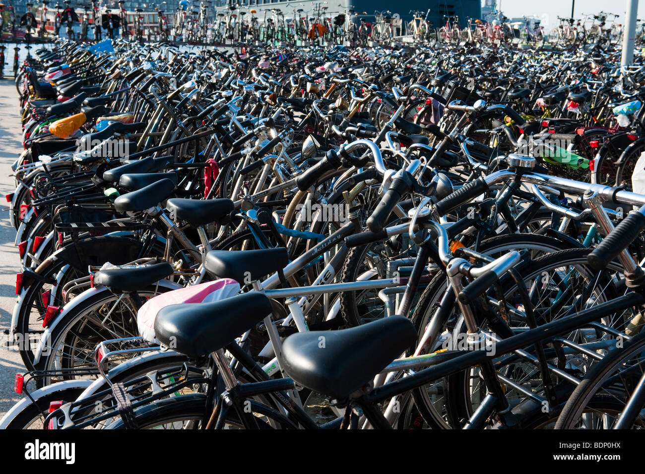 best places to buy a bicycle