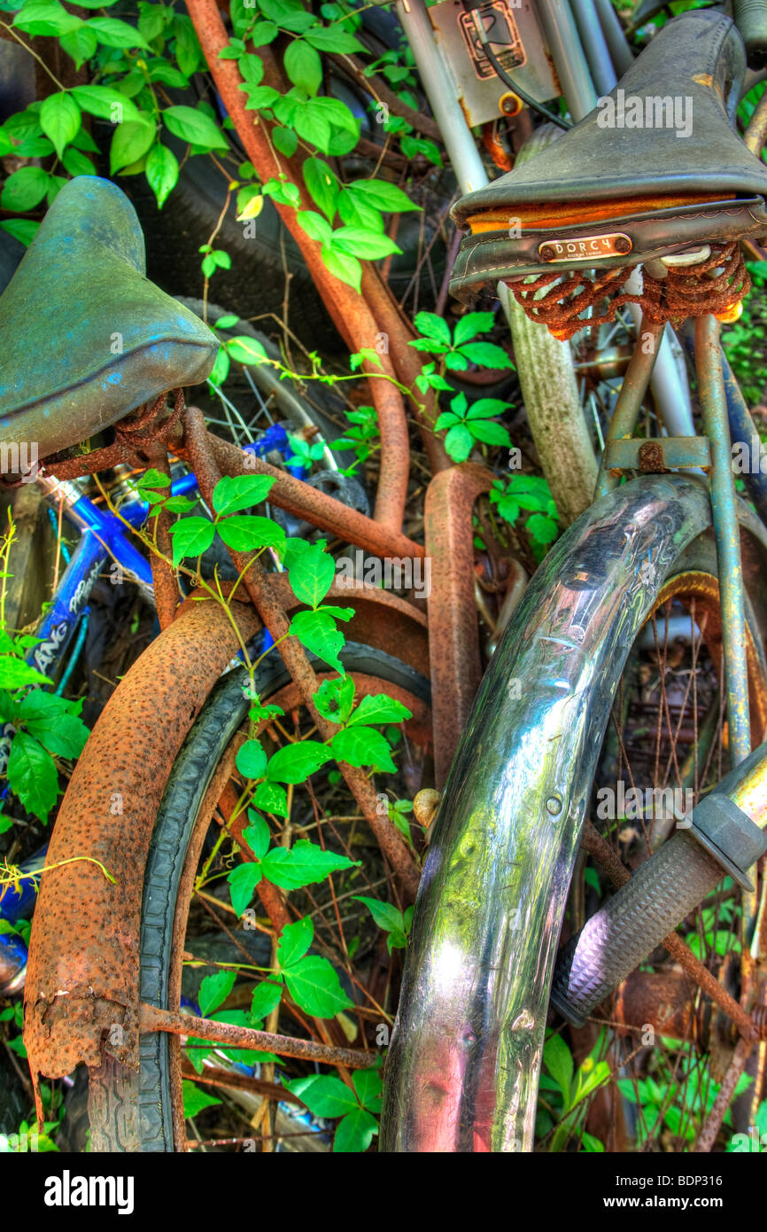 Children with balance bikes hi-res stock photography and images - Alamy