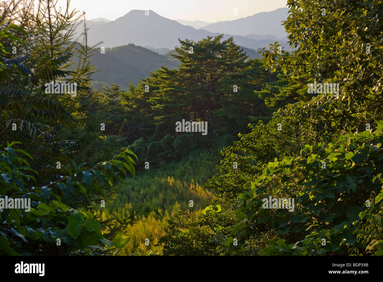 Layers of mountains in rural Chungbuk Province South Korea Stock Photo