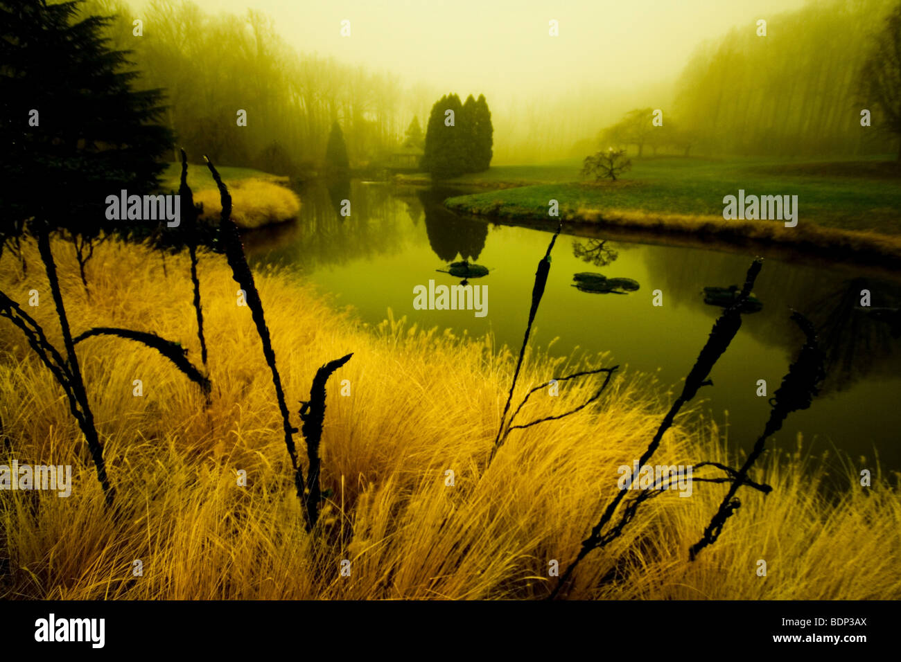 Reflections in a lake on a misty morning Stock Photo - Alamy