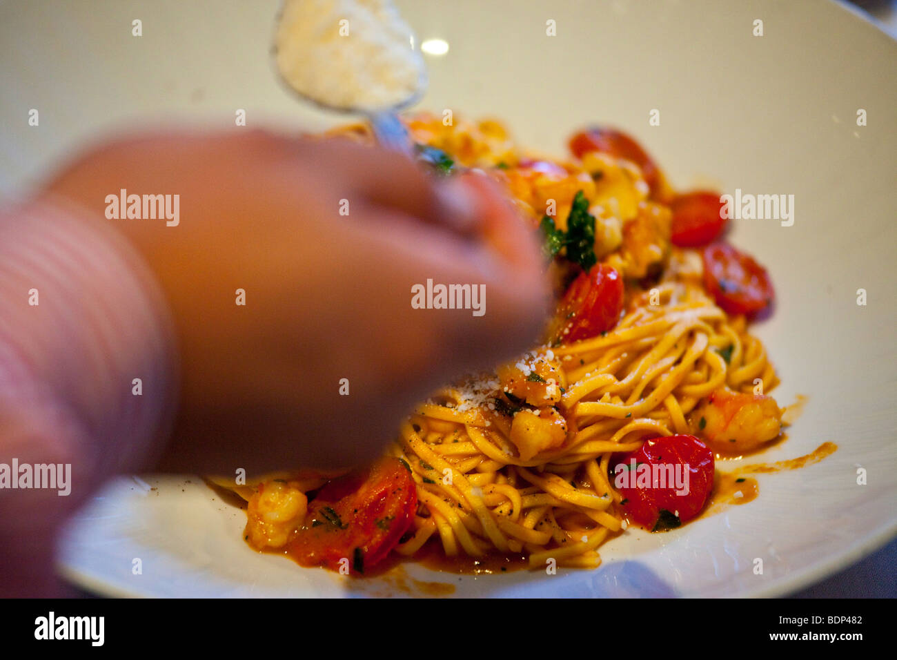 Plate of pasta at an Italian Restaurant in Little Italy in New York