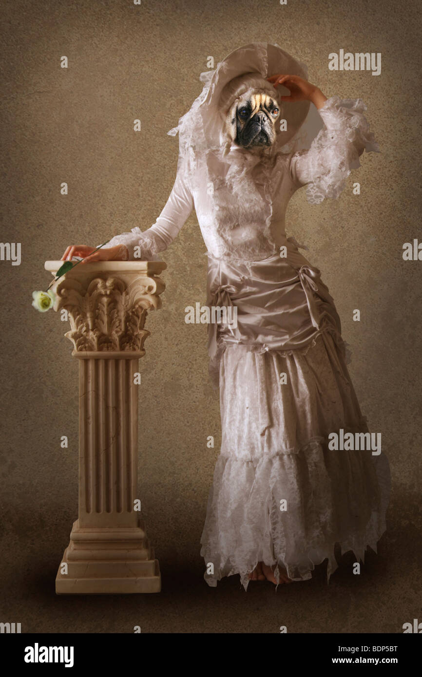 surreal dog dressed as a lady Stock Photo