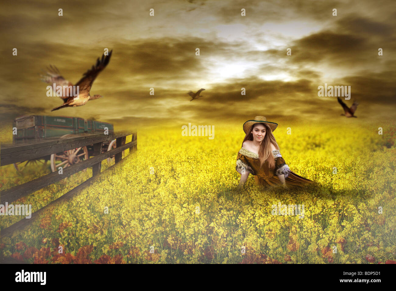 young girl sitting in a golden field in the countryside Stock Photo - Alamy