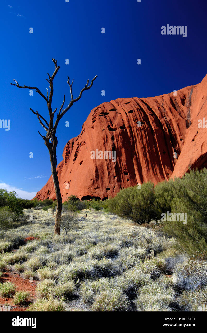 Ayers Rock, Uluru, detail, Northern Territory, Australia Stock Photo