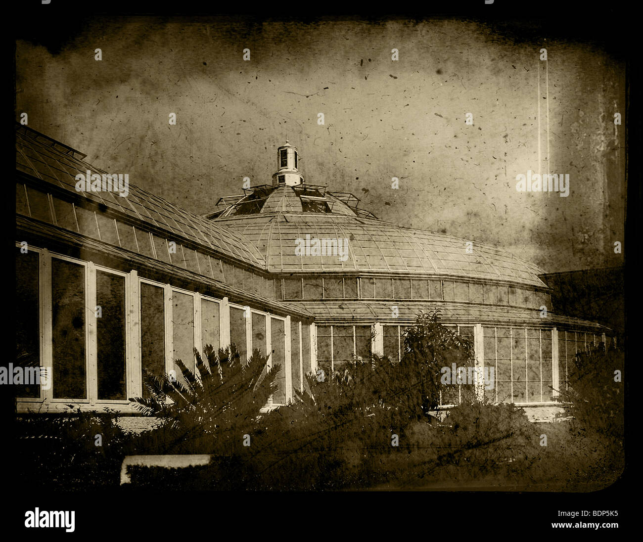 Victorian greenhouse hi-res stock photography and images - Alamy