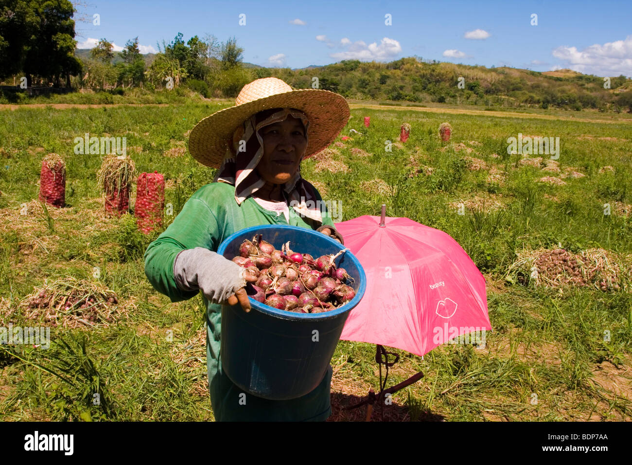 Central Luzon Stock Photos & Central Luzon Stock Images Alamy