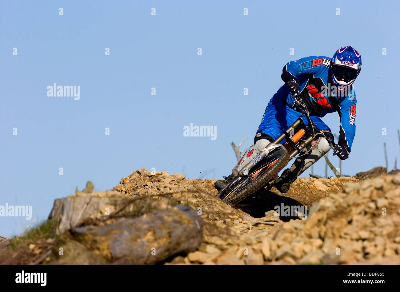 suzuki bandit 1200 chopper