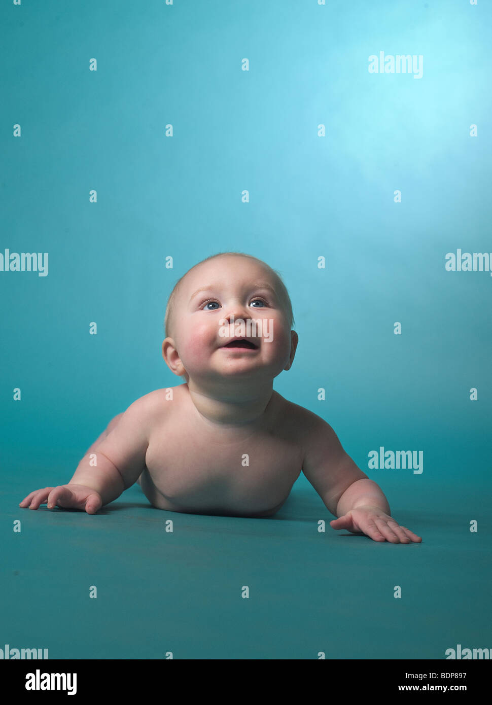 Portrait of a baby against turquoise background Stock Photo Alamy