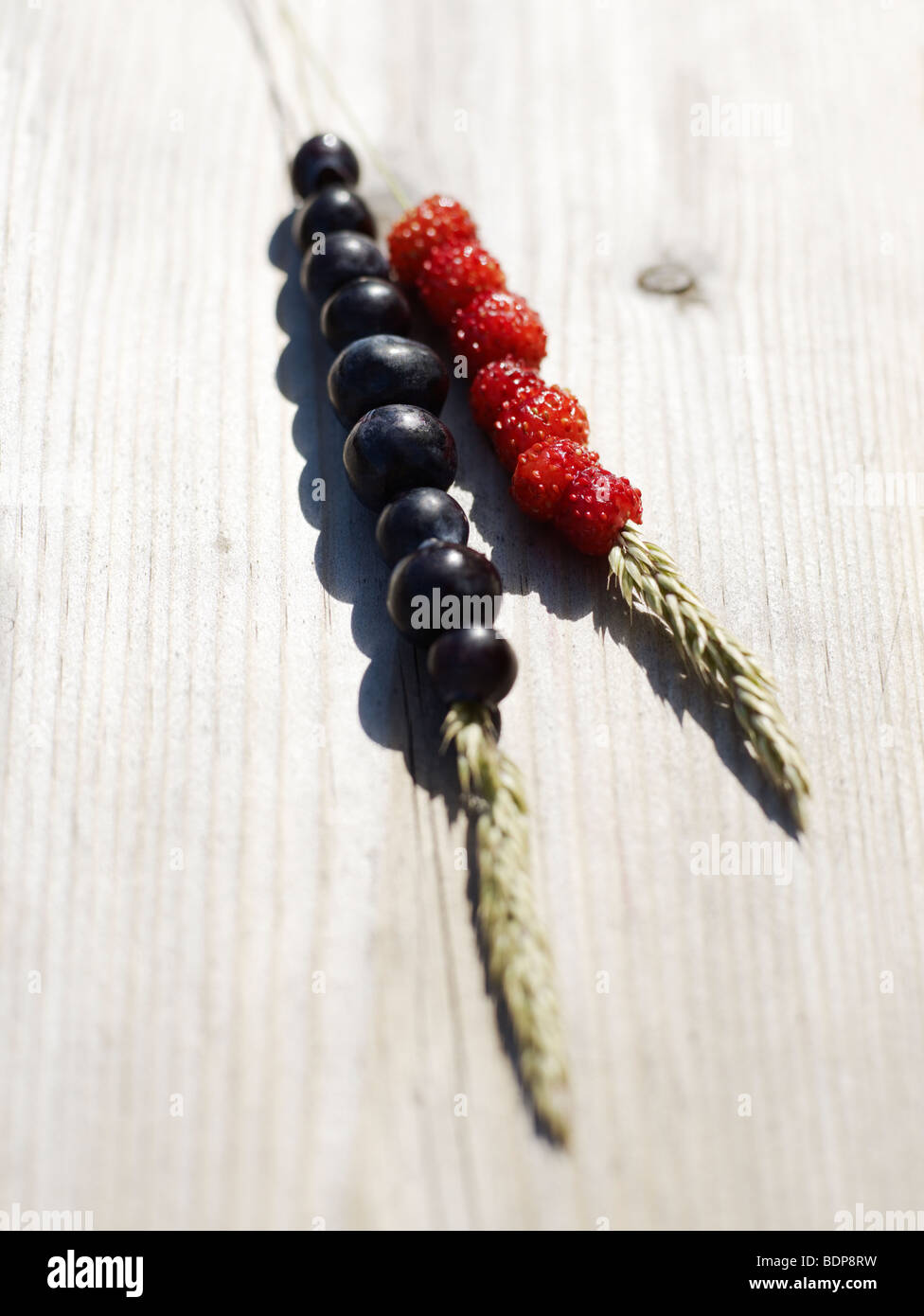 Bilberries and wild strawberries Sweden Stock Photo - Alamy