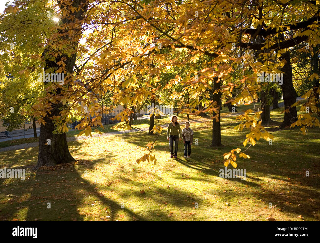 Two children walking in an autumnal park, Sweden. Stock Photo