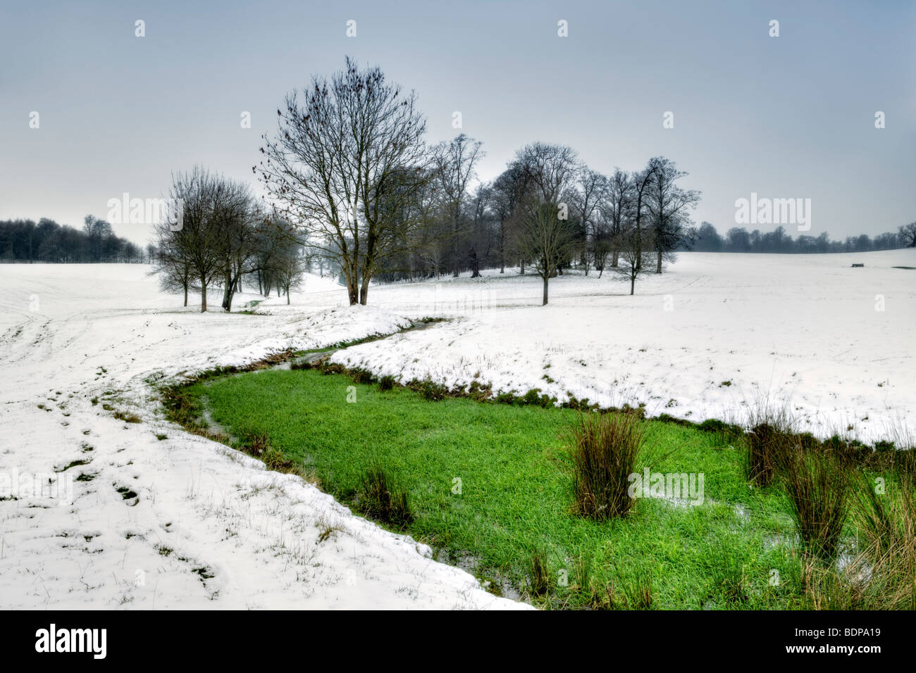 Rural scene of snow covered countryside taken from Cotswold Way near Old Sodbury with stream covered with green reeds Stock Photo