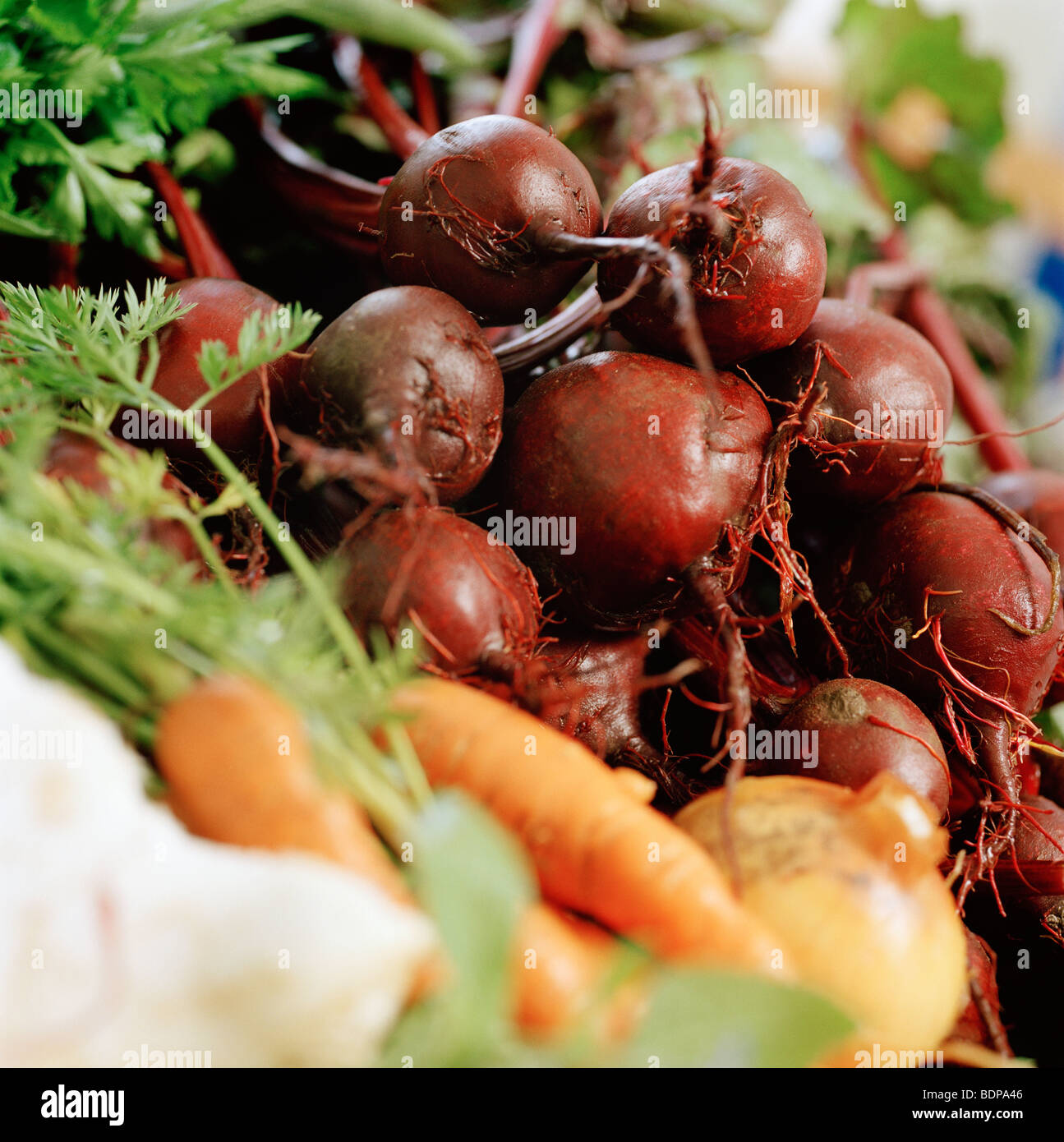 A closeup of root vegetables Sweden Stock Photo Alamy