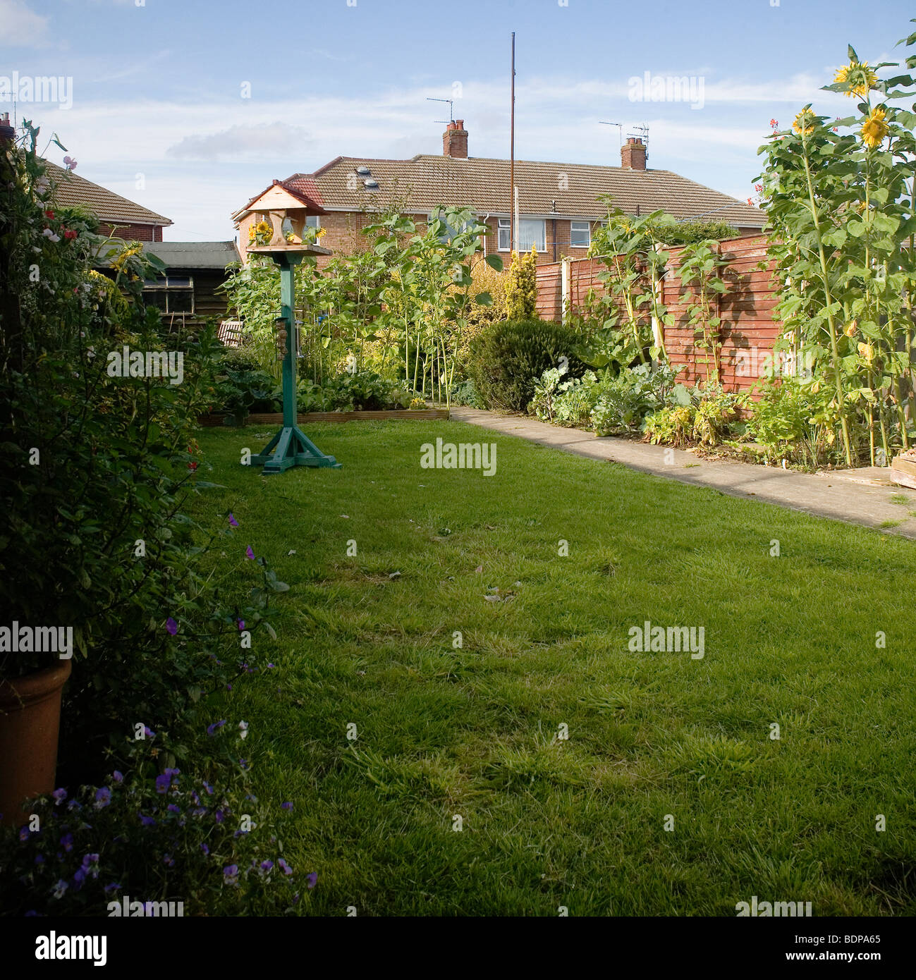 English garden in summer Stock Photo - Alamy