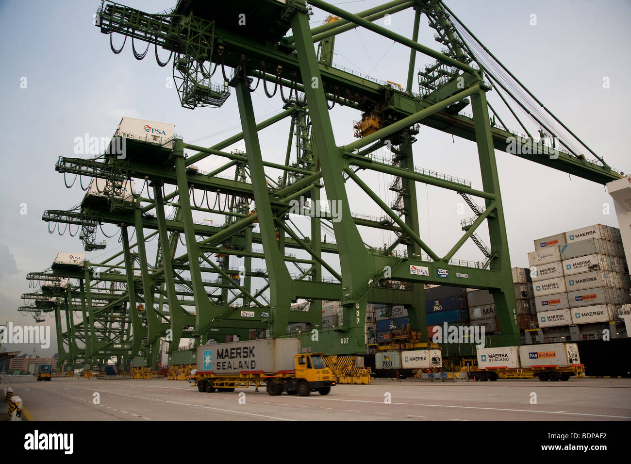 Container port cranes crane quayside nedlloyd Stock Photo Alamy