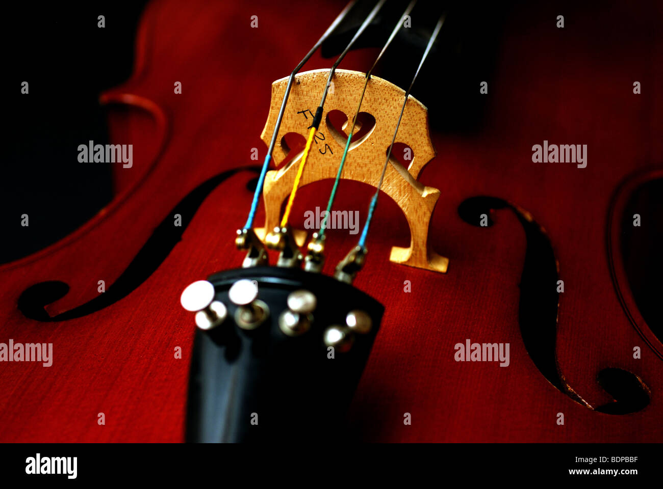 Cello strings and bridge. Closeup view Stock Photo Alamy