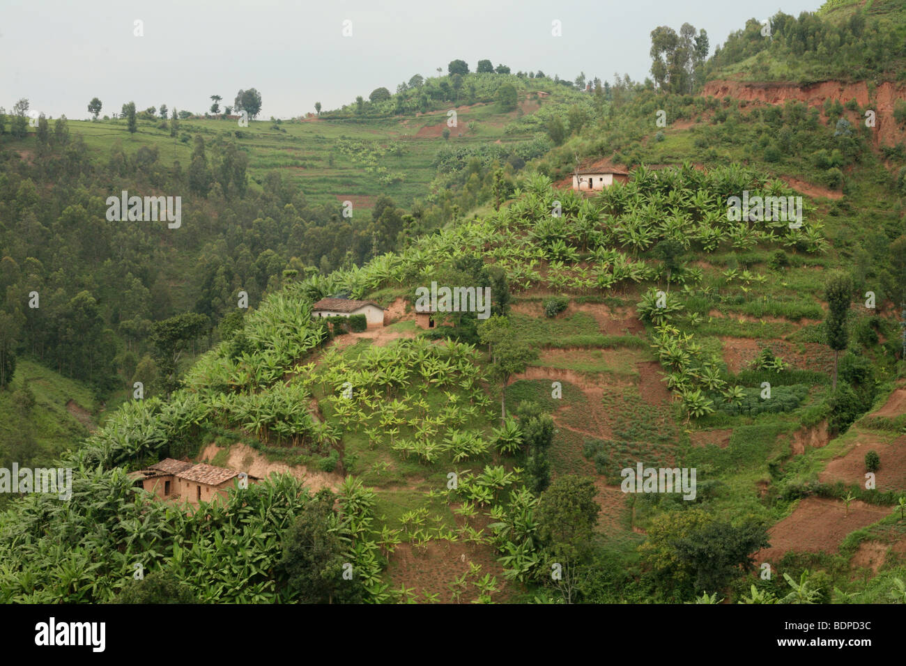 Hilly Rwanda Stock Photo