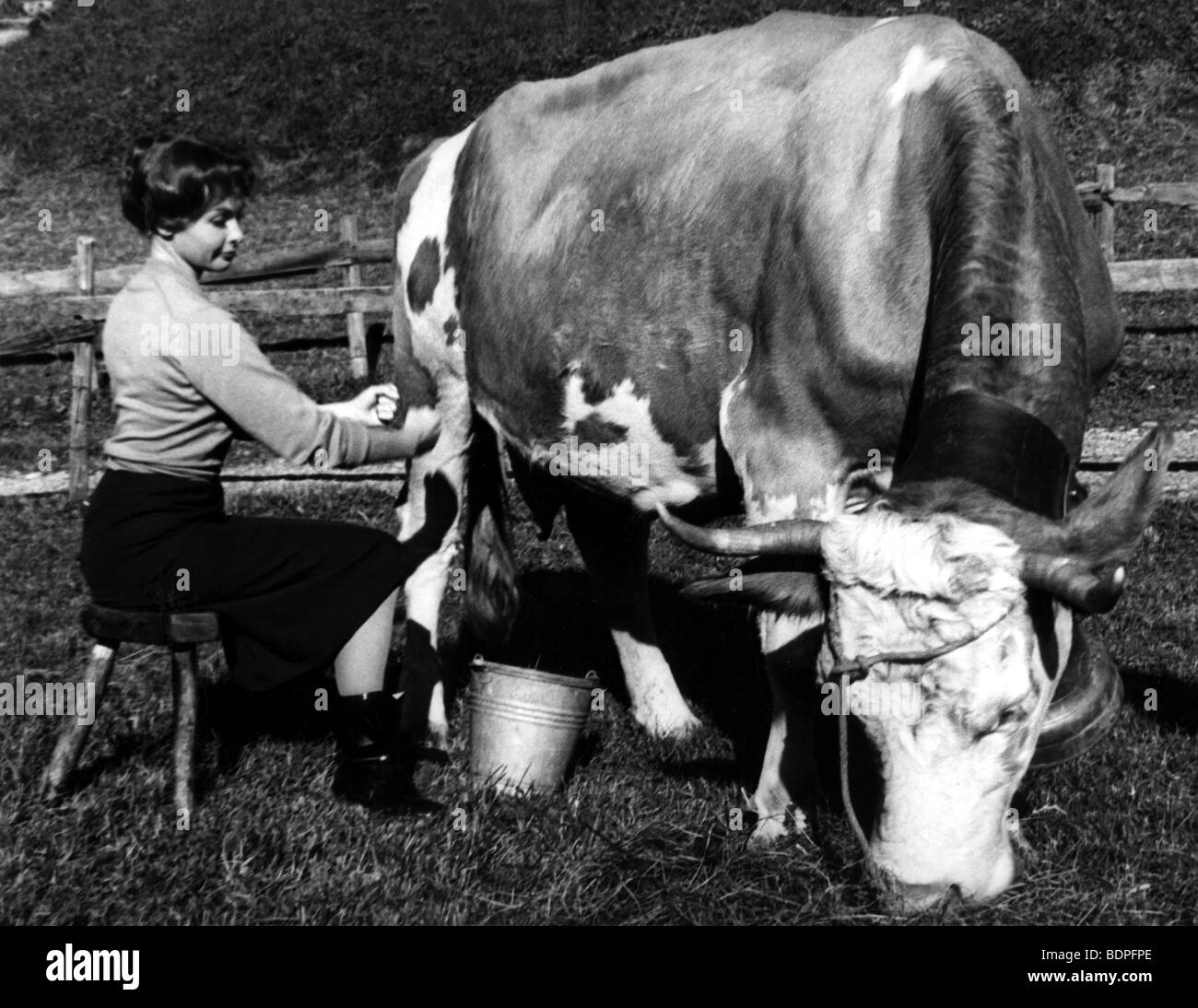 Denys de la patelliere francoise arnone hires stock photography and