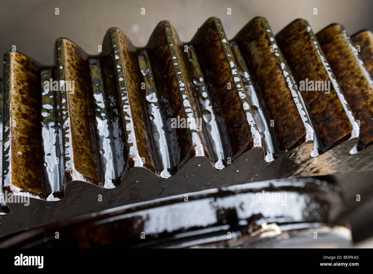 Close up of an oil covered industrial cog Stock Photo