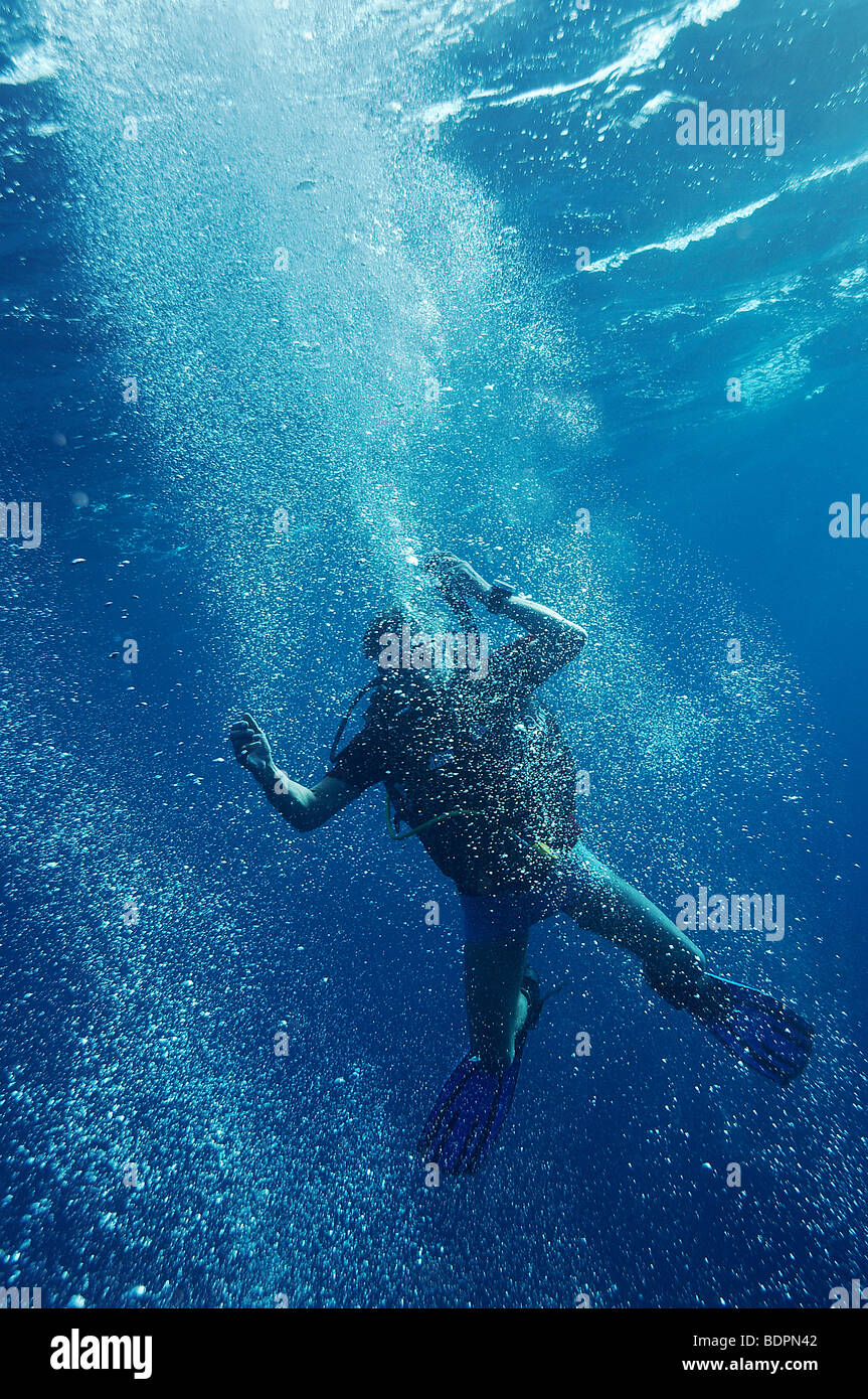 Scuba diver in panic, Komodo National Park, Indonesia, Southeast Asia