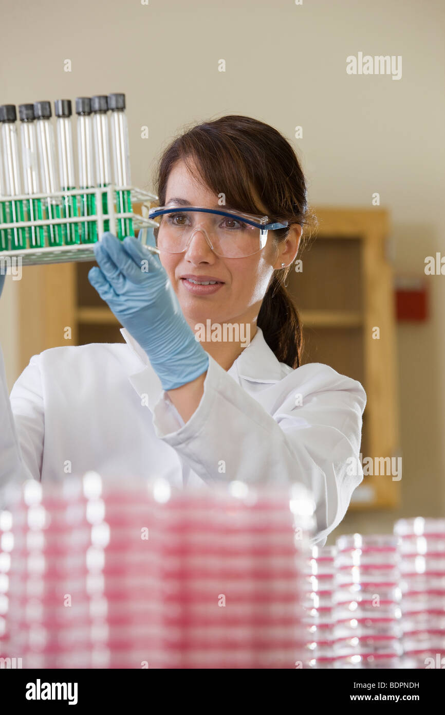 Lab technician analyzing samples in test tubes Stock Photo