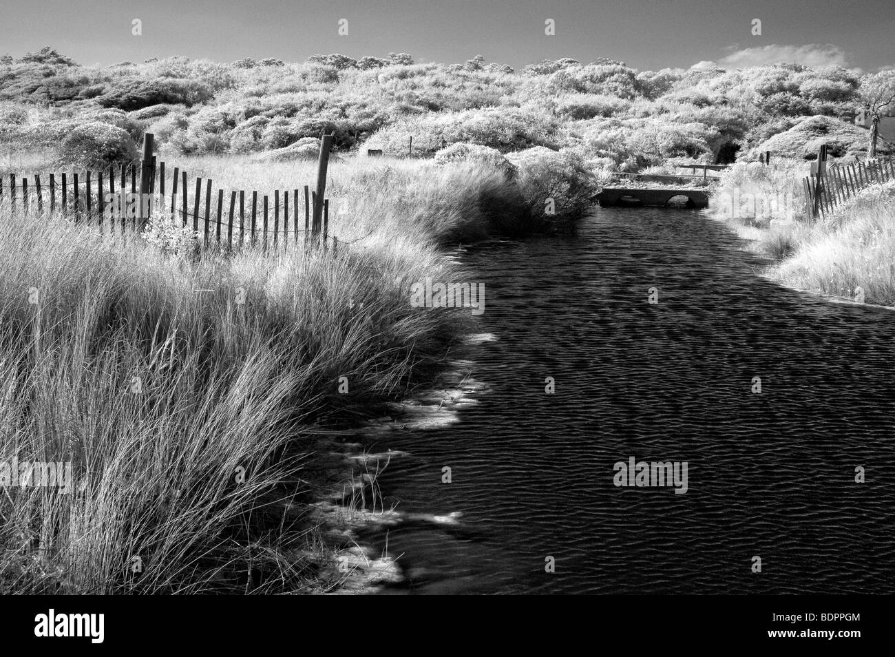 Rural coastal environment Black and White Stock Photos & Images - Alamy