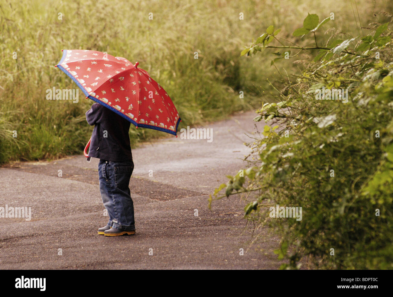 Boy with umbrella Stock Photo Alamy