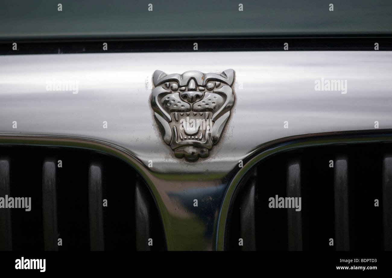 Jaguar car badge Stock Photo