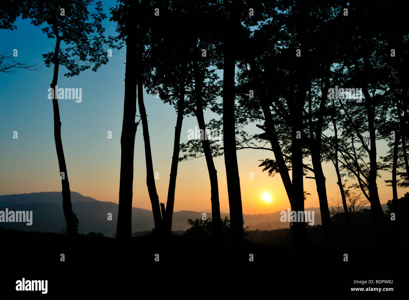 silhouette of trees at sunrise, Landscape Stock Photo - Alamy
