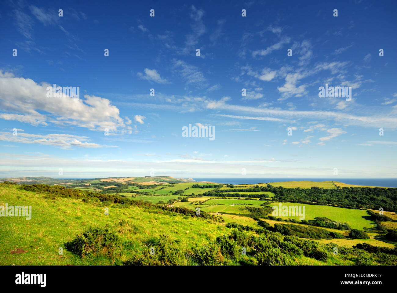 Summertime in the Purbeck Hills Dorset UK Stock Photo