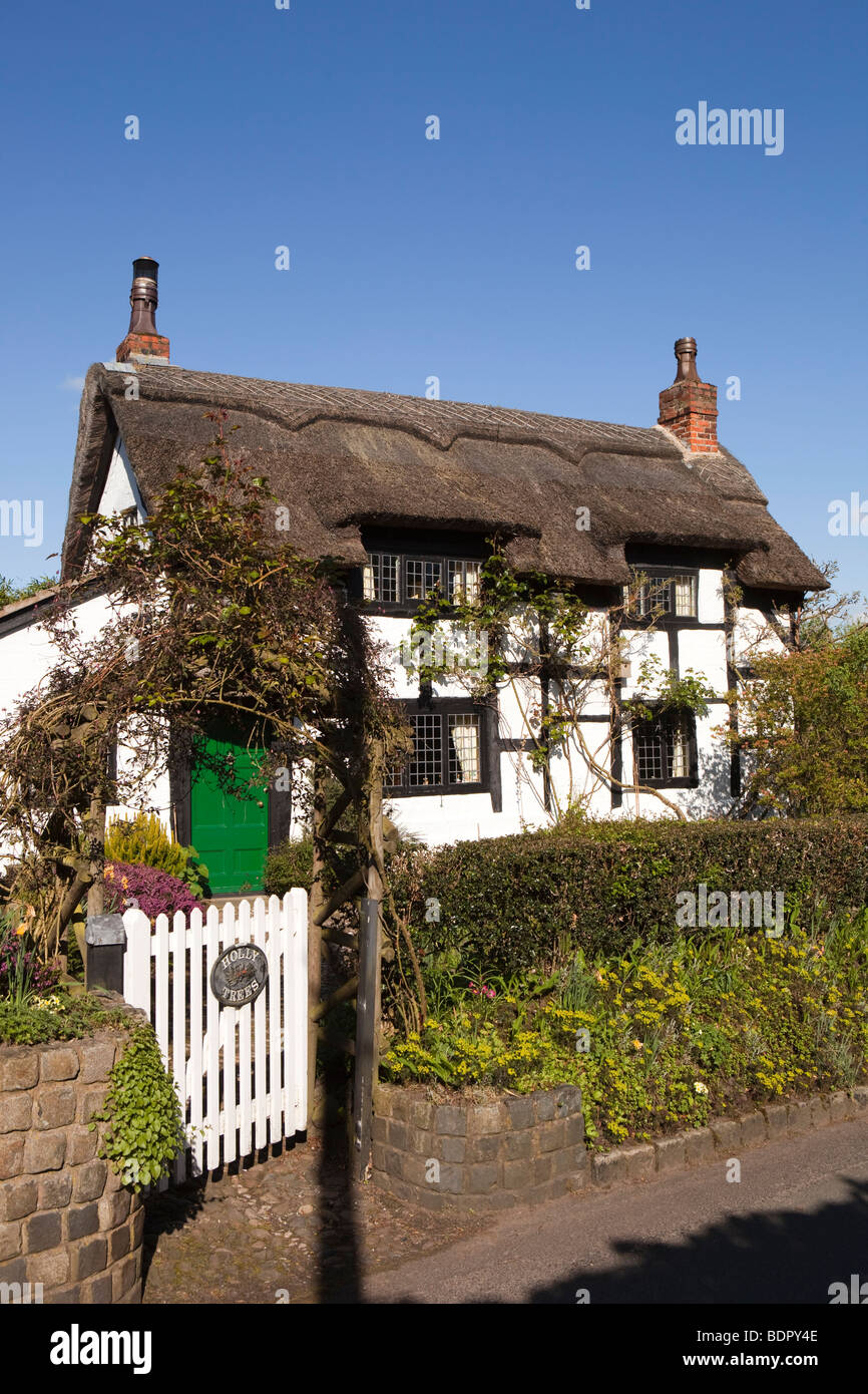 UK, England, Cheshire, Alderley Edge, The Hough, Holly Trees, timber