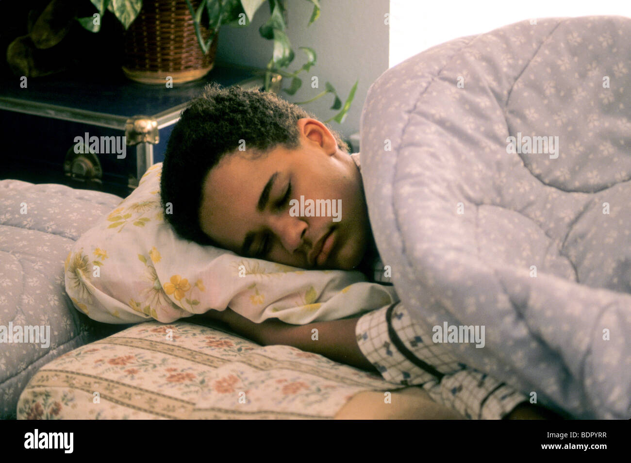 Male Teen Bed Pillow Asleep Rest Renew Morning Health Stock Photo
