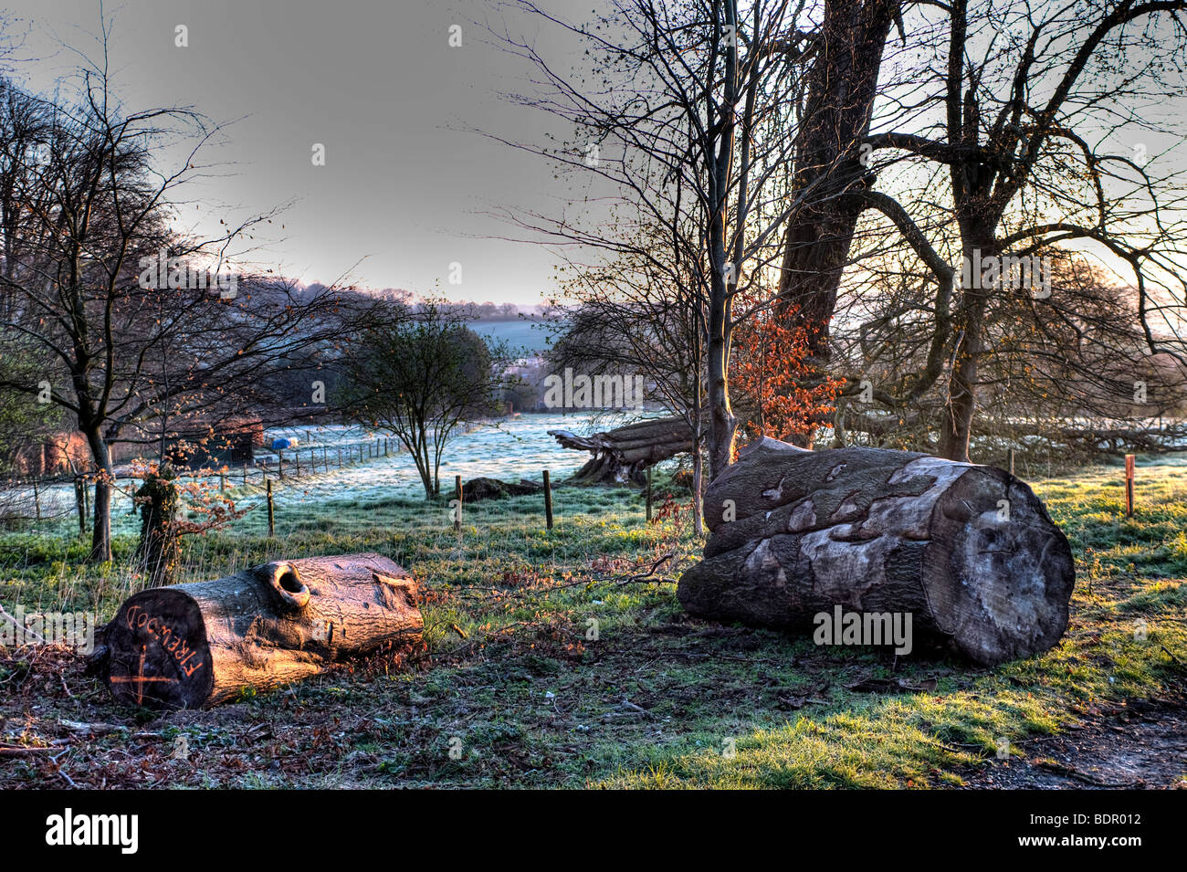 Log Fences High Resolution Stock Photography and Images - Alamy