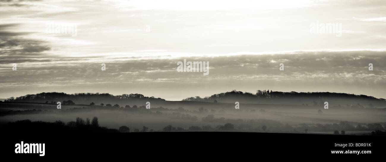 A distant view of trees over a valley with mist in the early morning Stock Photo
