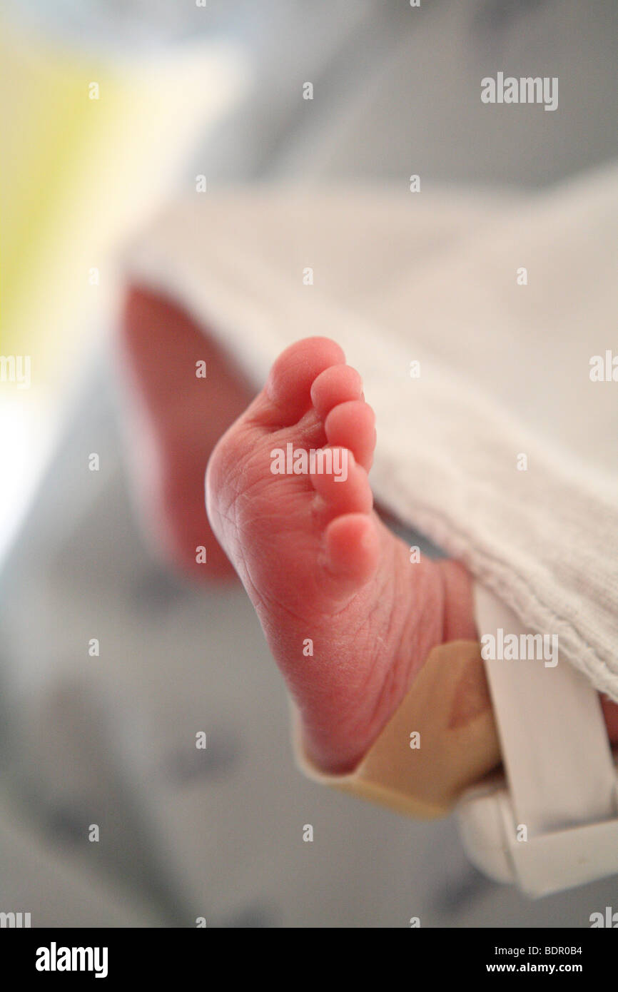 a newborn foot Stock Photo Alamy