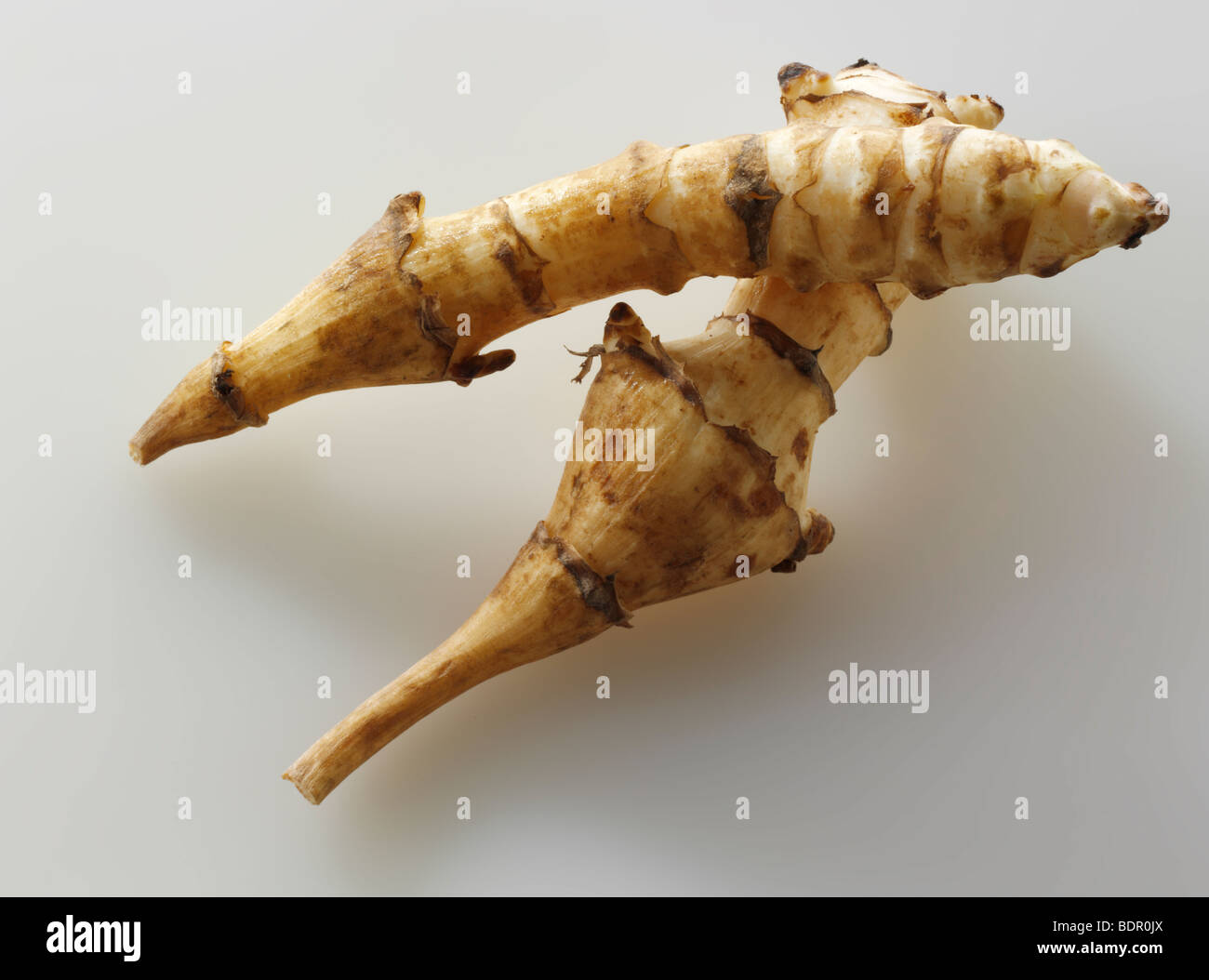 Jerusalem artichokes Stock Photo Alamy