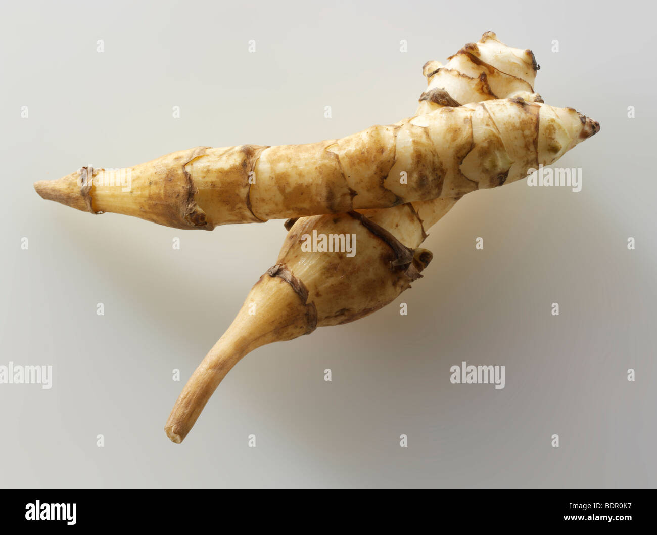 Image of jerusalem artichoke hires stock photography and images Alamy