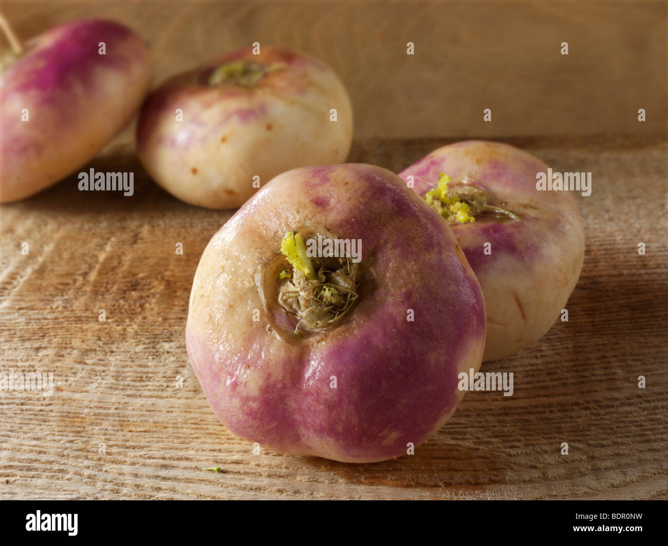 Fresh baby turnips Stock Photo