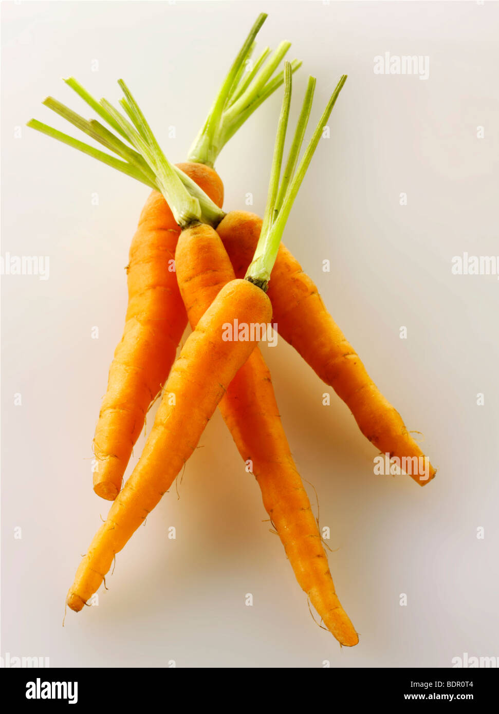 Fresh baby carrots Stock Photo