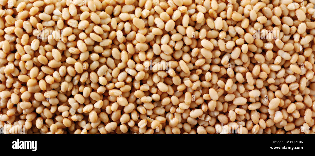 Whole haricot beans,  navy bean,  Boston bean,white pea bean, or pea bean - close up full frame top shot Stock Photo