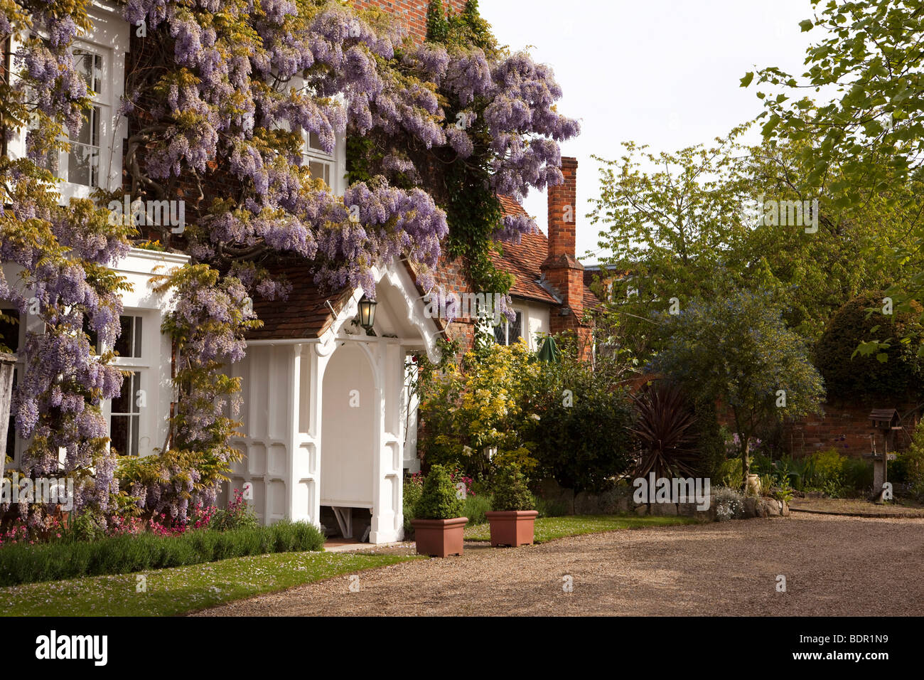 England, Buckinghamshire, Marlow, St Peter Street, wisteria hung