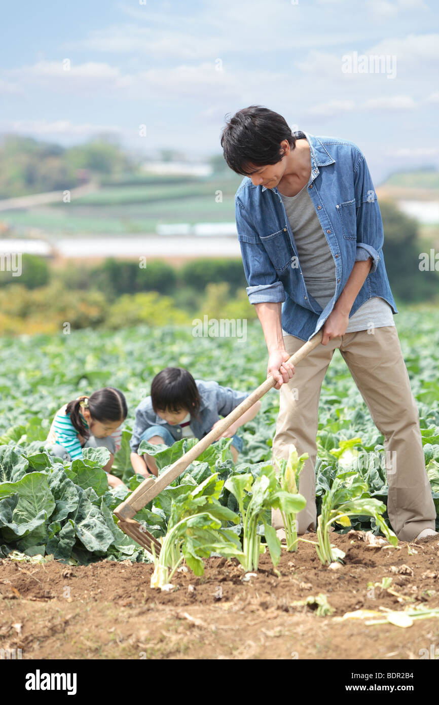 Mid adult man plowing field Stock Photo Alamy