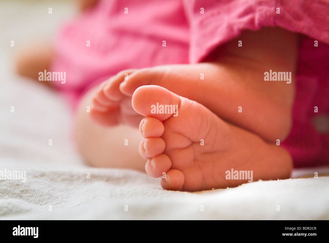 closeup of a newborn baby girl feet Stock Photo Alamy