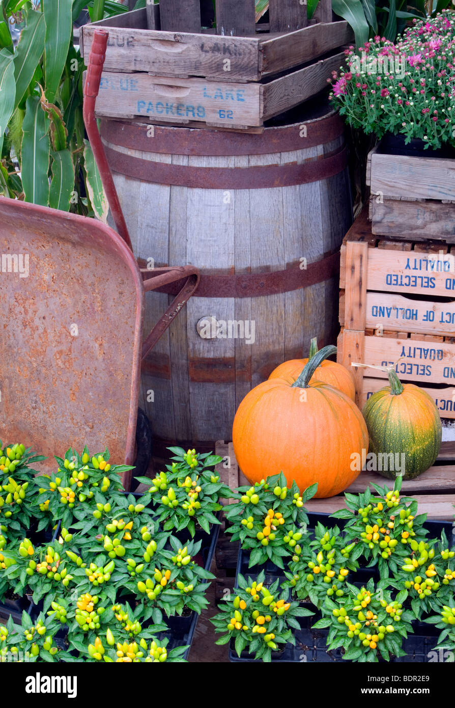 Als Stock Photos Als Stock Images Alamy