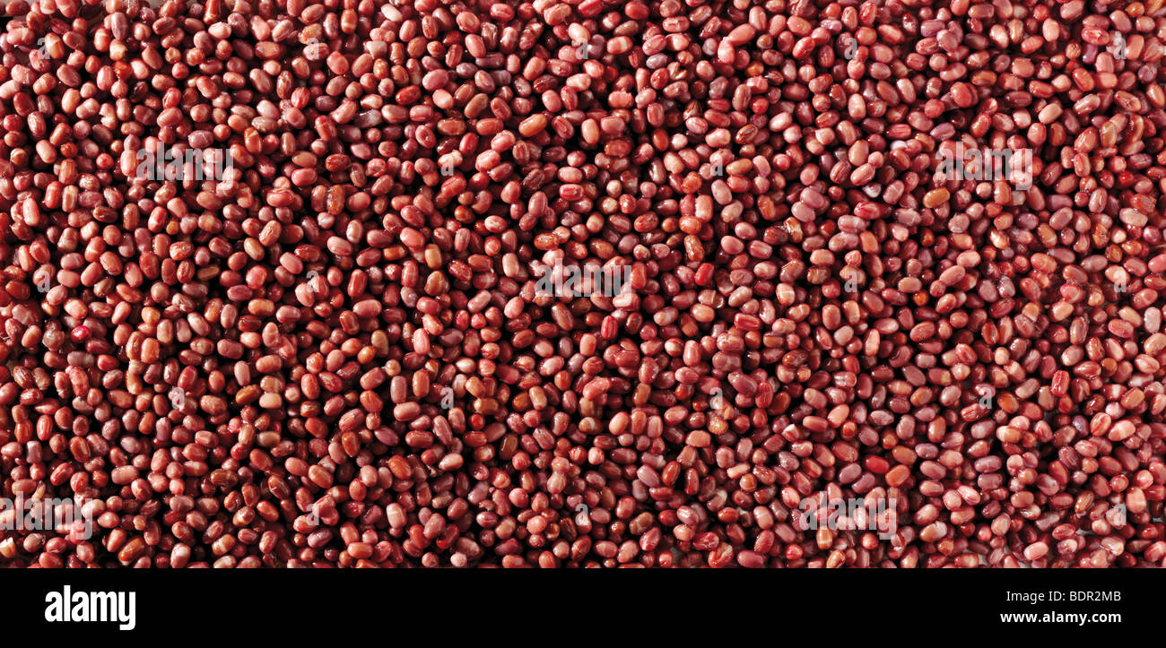 Whole  aduki beans, adzuki beans, azuki beans - close up full frame top shot Stock Photo