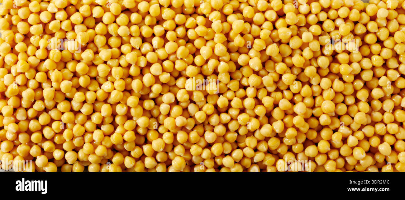 Whole chickpea, chick pea, gram or Bengal gram, garbanzo bean, or Egyptian pea  - close up full frame top shot (Cicer arietinum) Stock Photo