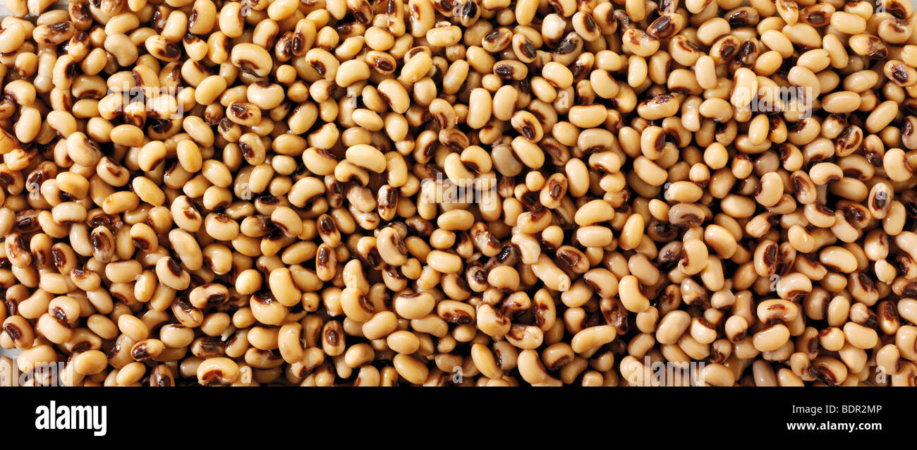 Whole black eyed beans or black eyed pea close up full frame top shot
